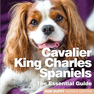 Cavalier King Charles Spaniels