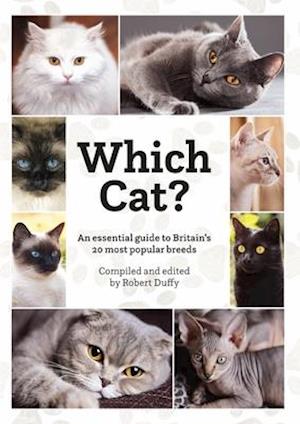 Which Cat