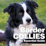 Border Collies