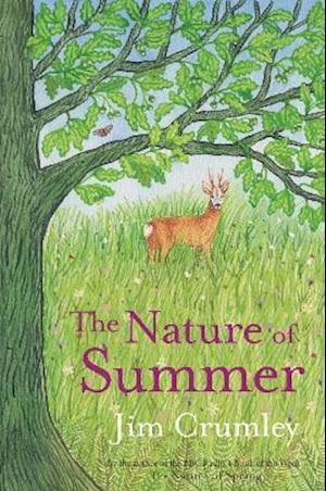 The Nature of Summer