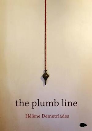 The Plumb Line