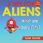 What is a baby Cat?: 3 Tips For Aliens 