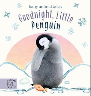 Goodnight, Little Penguin