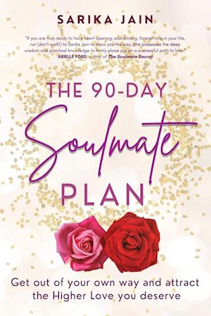 The 90 Day Soulmate Plan