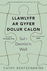 Llawlyfr ar Gyfer Dolur Calon