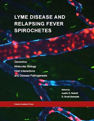 Lyme Disease and Relapsing Fever Spirochetes: Genomics, Molecular Biology, Host Interactions and Disease Pathogenesis