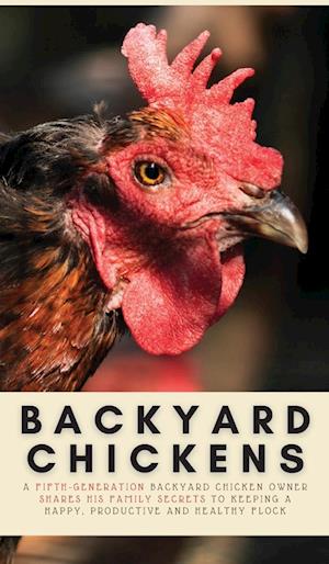 Backyard Chickens