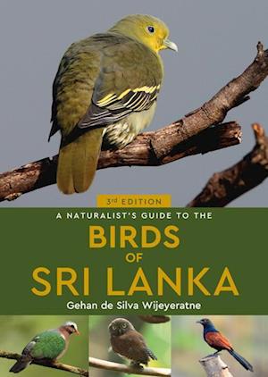 A Naturalist's Guide to the Birds of Sri Lanka (3rd edition)