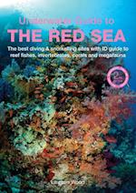 An Underwater Guide to the Red Sea