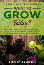 Gardening For Beginners: WHAT TO GROW TODAY? - Basic Gardening Tips To Growing Vegetables, Hydroponics, Mini Farming, Hydropopnics, and Herb Gardening