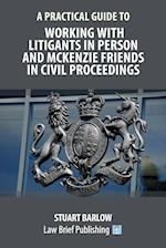 A Practical Guide to Working With Litigants in Person and McKenzie Friends in Civil Proceedings 