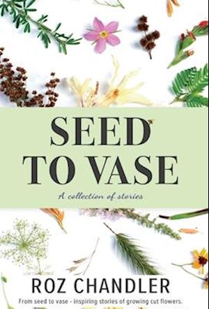 Seed To Vase