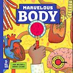 Marvelous Body
