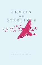 Shoals of Starlings 