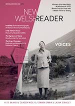 New Welsh Reader 133 (New Welsh Review, autumn 2023) : New Welsh Review, autumn 2023