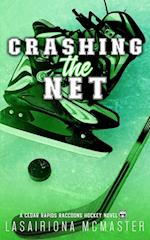 Crashing the Net 