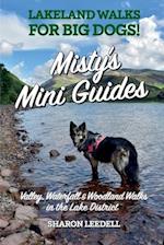 Misty's Mini Guides: Lakeland walks for BIG dogs! 