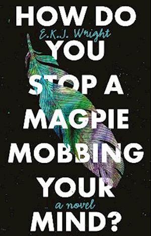 How Do you Stop a Magpie Mobbing Your Mind?