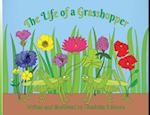 The Life of a Grasshopper 