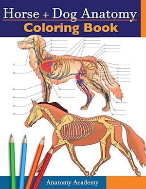 Horse + Dog Anatomy Coloring Book: 2-in-1 Compilation | Incredibly Detailed Self-Test Equine & Canine Anatomy Color workbook | Perfect Gift for Ve