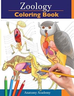 Download Få Zoology Coloring Book af Anatomy Academy som Paperback ...