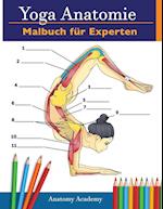 Yoga-Anatomie-Malbuch für Experten