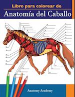 Libro para colorear de Anatomía del Caballo