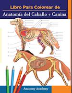 Libro para colorear de Anatomía del Caballo + Canina