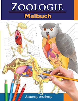 Zoologie Malbuch