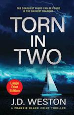 Torn In Two: A British Crime Thriller Novel 