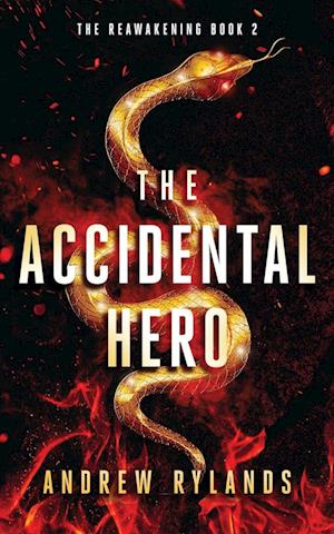 The Accidental Hero