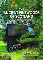 Ancient Pinewoods of Scotland