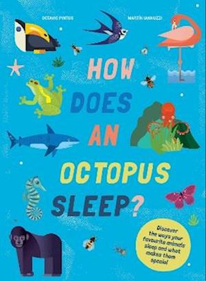 How Does An Octopus Sleep?