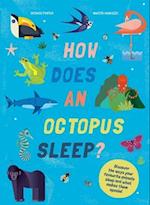 How Does An Octopus Sleep?