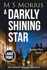 A Darkly Shining Star (Large Print)