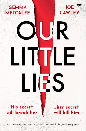 Our Little Lies