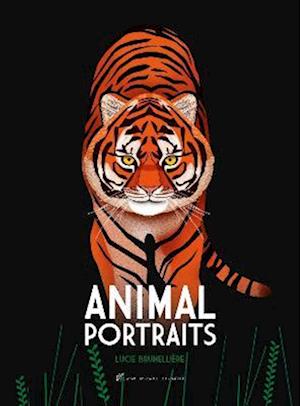 Animal Portraits