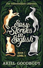 Easy Stories in English for Intermediate Learners: 10 Fairy Tales to Take Your English From OK to Good and From Good to Great 