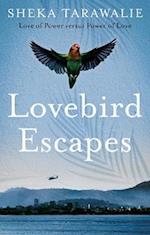 Lovebird Escapes