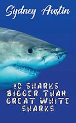 10 Sharks Bigger Than Great White Sharks 