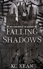 Falling Shadows