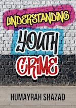 Understanding Youth Crime