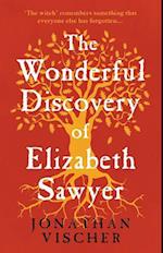 The Wonderful Discovery of Elizabeth Sawyer