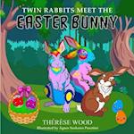 Twin Rabbits Meet the Easter Bunny