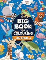 Big Book of Colouring