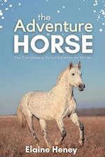 The Adventure Horse