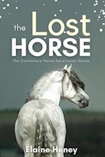 The Lost Horse - Book 6 in the Connemara Horse Adventure Series for Kids 