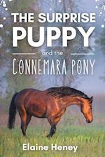 The Surprise Puppy and the Connemara Pony - The Coral Cove Horses Series 