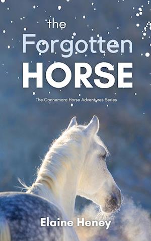 The Forgotten Horse - Book 1 in the Connemara Horse Adventure Series for Kids | The Perfect Gift for Children