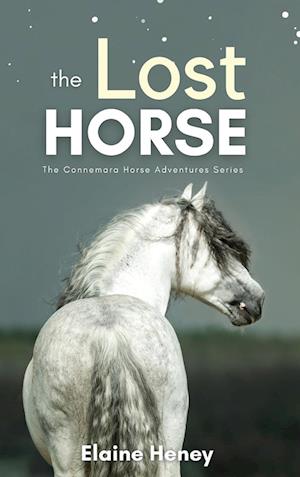 The Lost Horse - Book 6 in the Connemara Horse Adventure Series for Kids | The Perfect Gift for Children